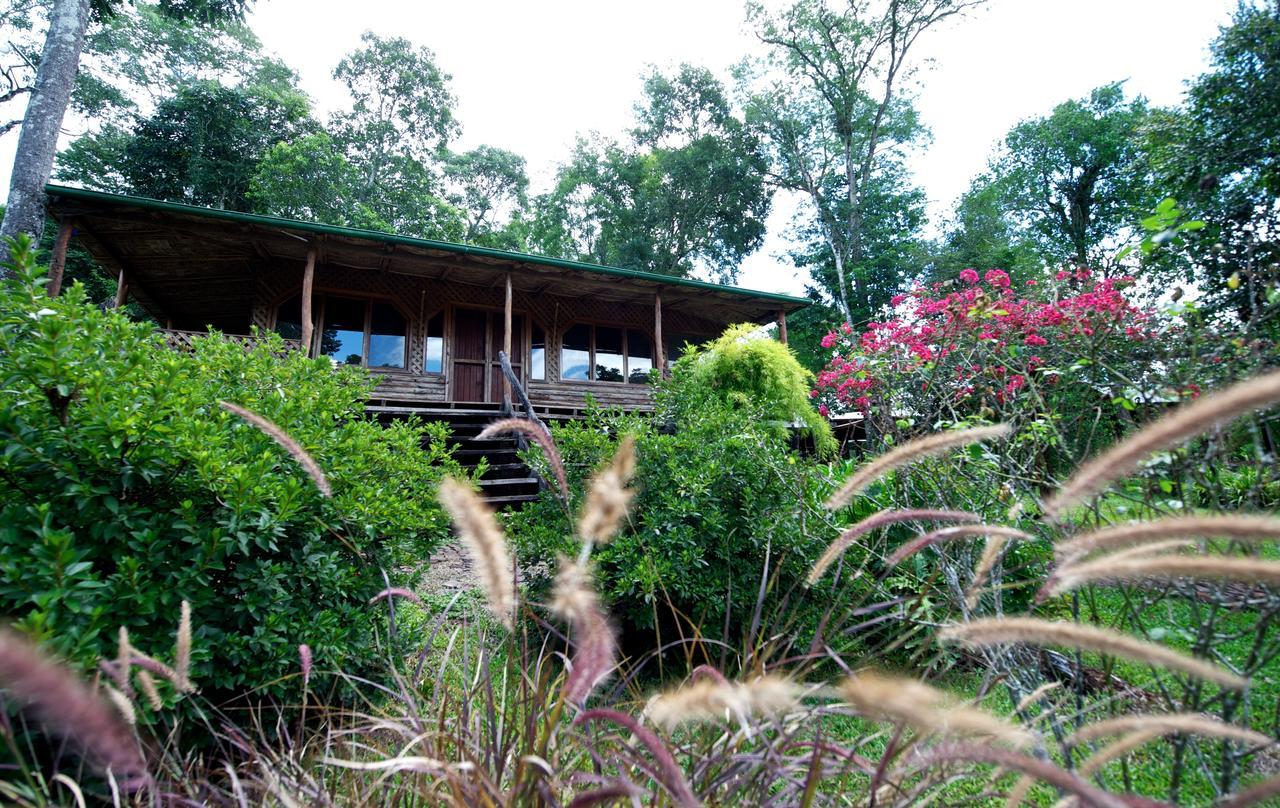 La Mision Mocona - Lodge De Selva Saltos del Moconá Chambre photo