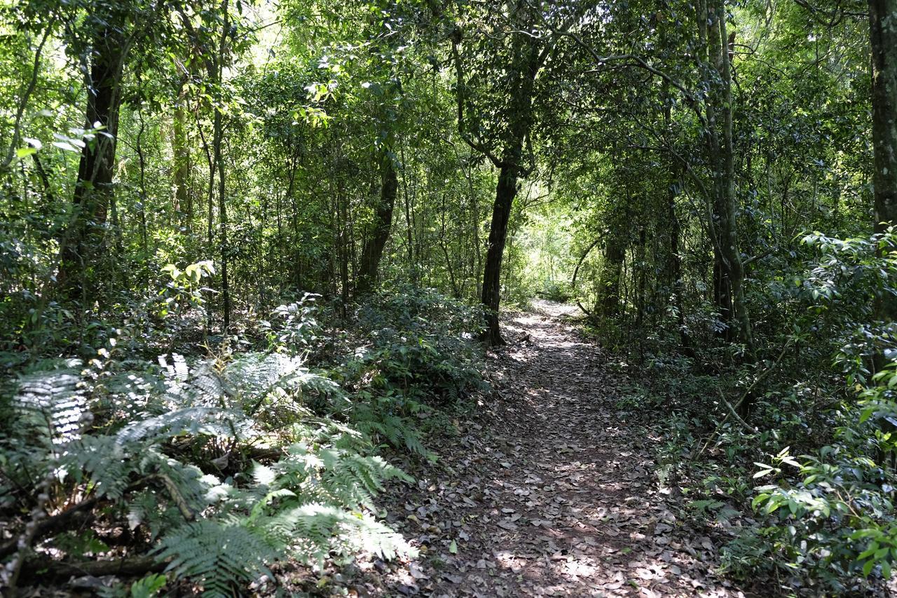 La Mision Mocona - Lodge De Selva Saltos del Moconá Extérieur photo